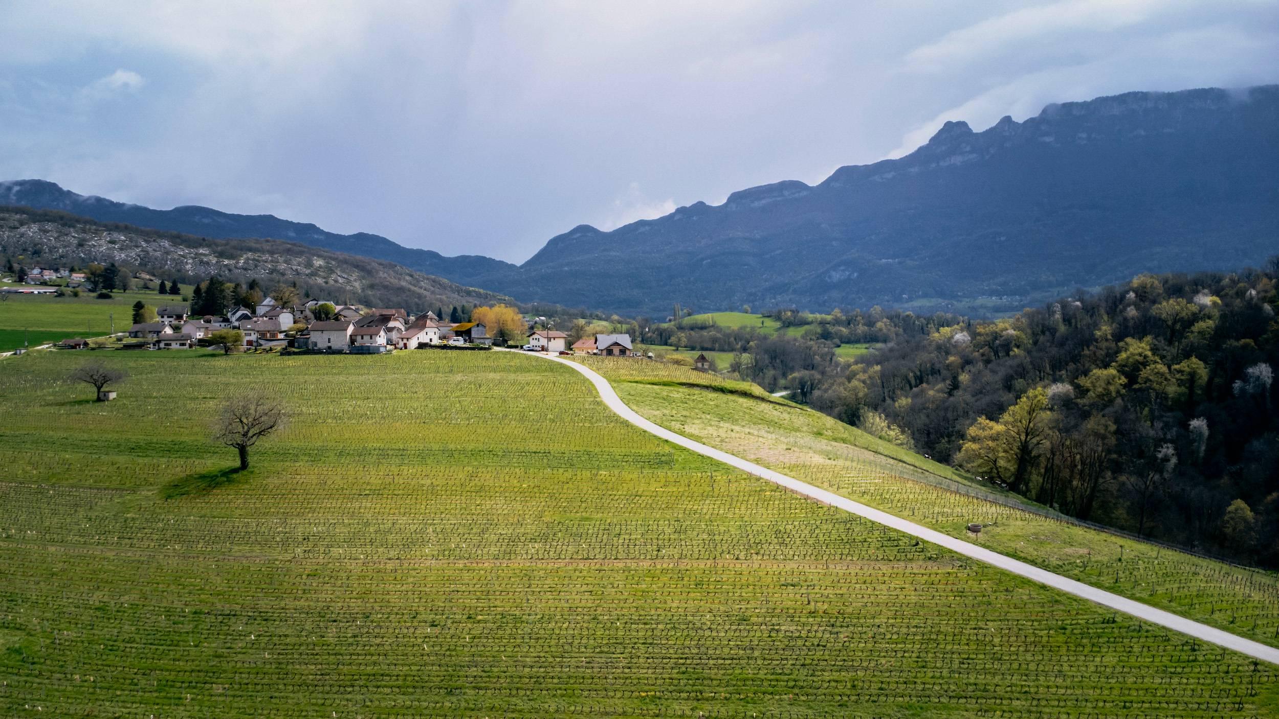 Domaine Christophe Joly